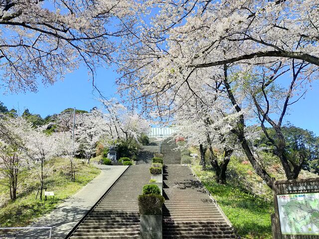 階段上の白亜の建物_世界無名戦士之墓