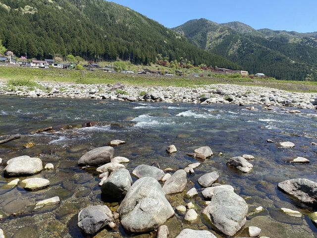 下呂の山と馬瀬川!とても綺麗で!冷たくて気持ちよかった!_elephant tree