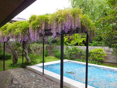 ニコちゃんさんのへの投稿写真2