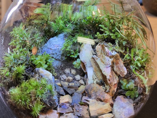 私の初作品_苔庵介る-Scale-