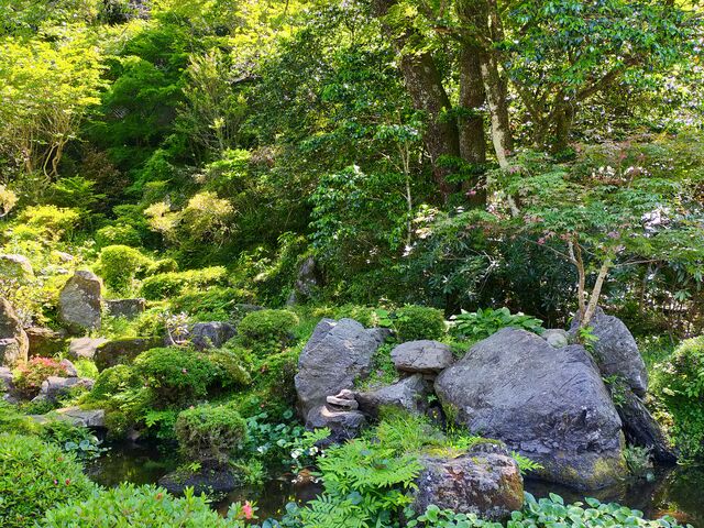 緑溢れる庭園_伝来寺庭園