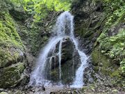 イワダイさんの三階滝の投稿写真1