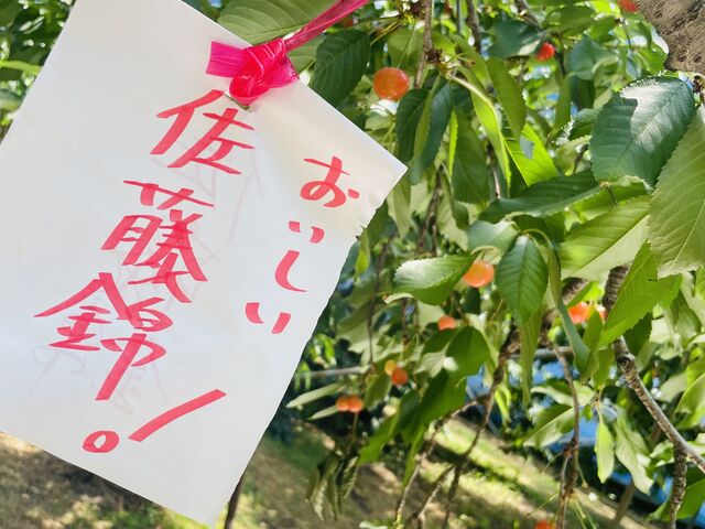 最高!!_広果園