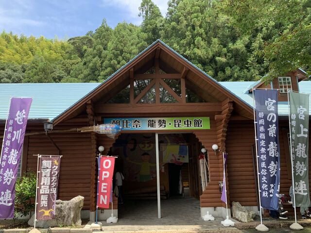 スターさんのふるさと世界の昆虫館の投稿写真1