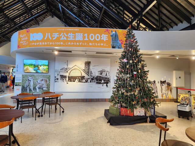 ツリーでお出迎え_大館市観光交流施設 秋田犬の里
