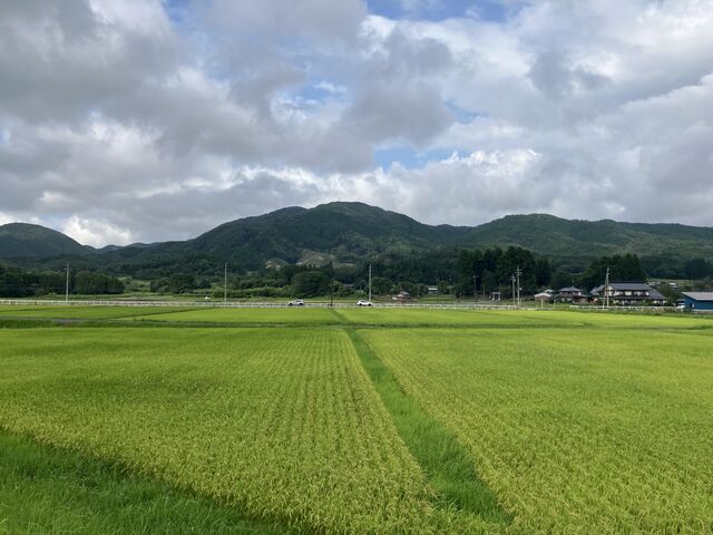 自然の中をサイクリング_蒜山サイクリングサービス(蒜山サイクリング部)