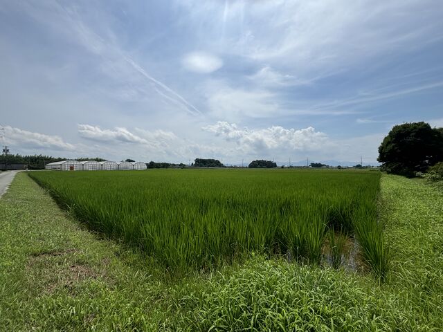 広い空と田園風景の中、気持ちよくサイクリングができました。_明和観光商社