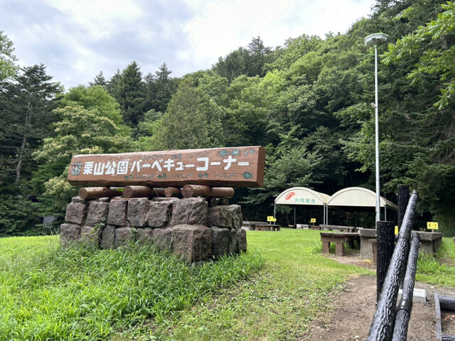 安心な僕らは旅に出ようぜさんの栗山公園キャンプ場の投稿写真1