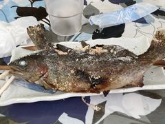 ナラ入沢渓流釣りキャンプ場の写真1