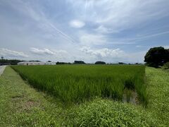 明和観光商社の写真1