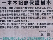 安心な僕らは旅に出ようぜさんの阿野呂一本木の投稿写真2