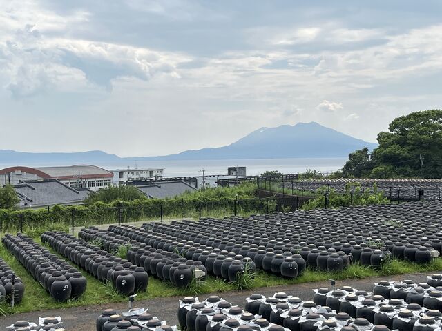 壺畑と桜島_黒酢ガーデン壺畑 SHOP&RESTAURANT