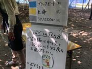 island510さんの宮信観光ぶどう園の投稿写真2