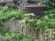 ゆきてぃさんのセントジョウジライディングクラブの投稿写真2