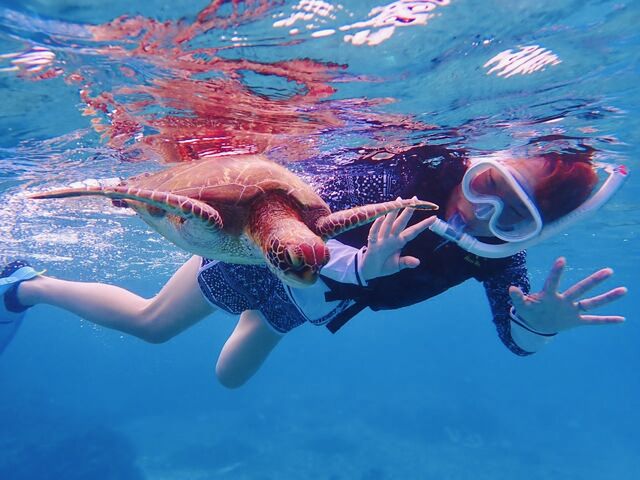 ウミガメさんと真横で。_PolePolemarine385
