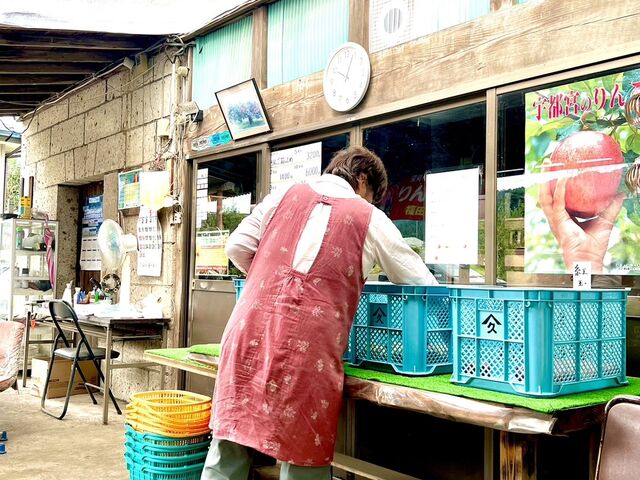 りんご園のお母さんも優しくて素敵でした♪_福田りんご園