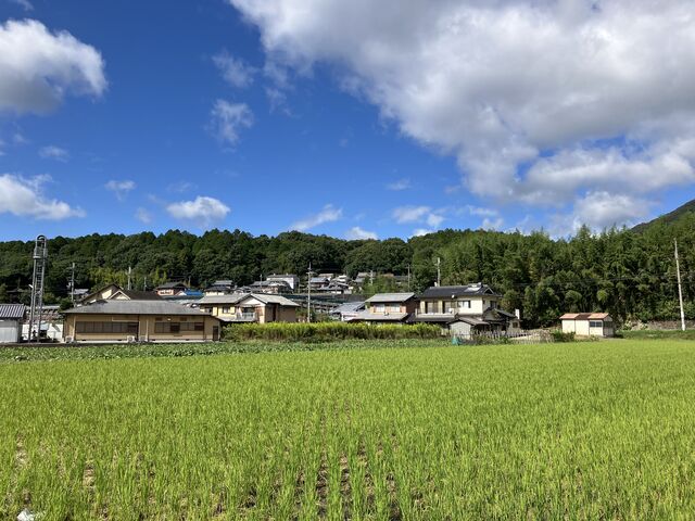 自然豊かで癒されます_岡田農園
