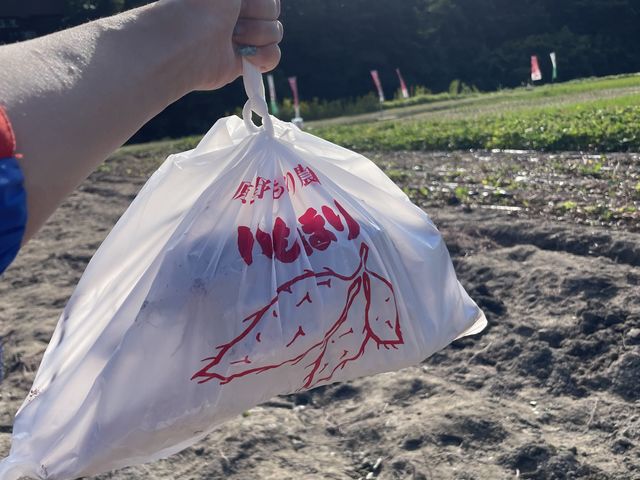 持ち帰りの袋もいただけます。_岡田農園