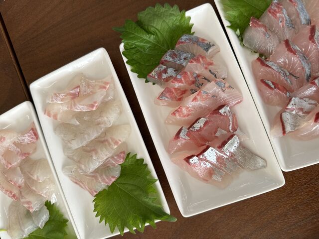 お刺身プリプリで身が引き締まってて美味しかった_横浜釣り堀王国