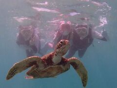 りんむーさんのOkinawa tripsへの投稿写真1