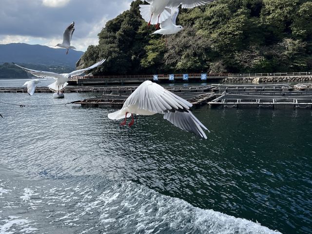 うにちゃんさんの三津周遊遊覧船の投稿写真2