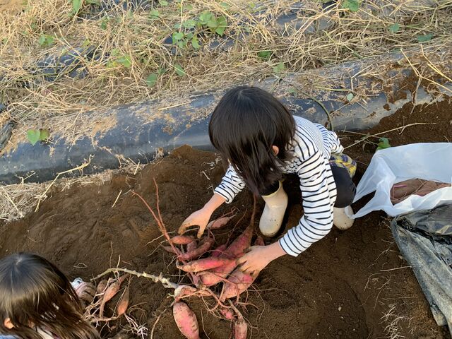たくさん_自然館泉