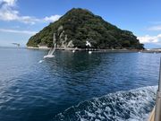 うにちゃんさんの三津周遊遊覧船の投稿写真1