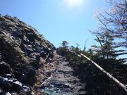 サクラサクさんの北横岳の坪庭の投稿写真5