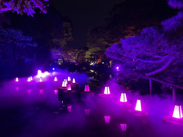 平安神宮庭園_NAKED光の神苑 平安神宮