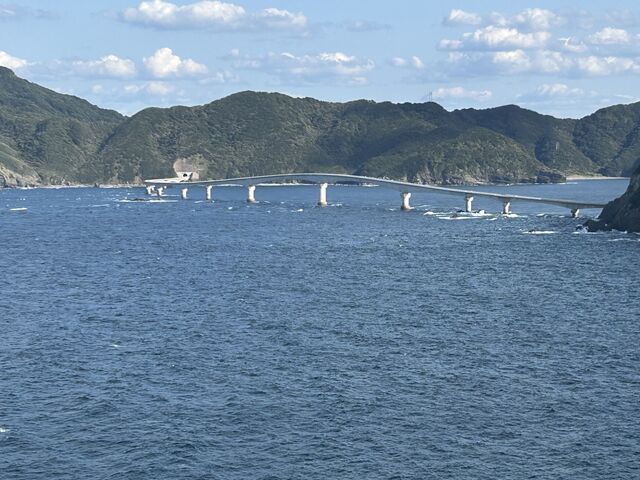 ちーちゃんさんの夜萩円山公園の投稿写真2