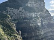 ちーちゃんさんの夜萩円山公園の投稿写真1