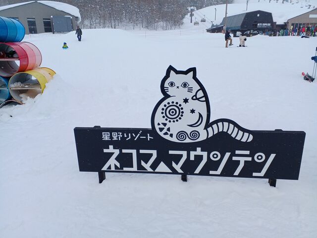後ろ姿がキュートな可愛いネコ(=^ェ^=)_星野リゾート アルツ磐梯