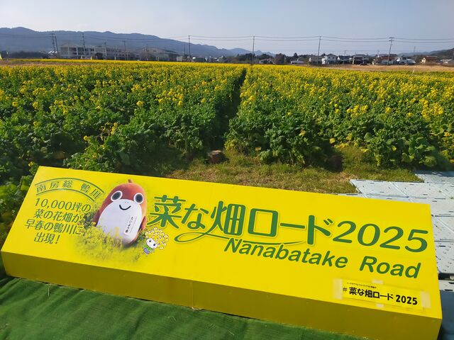 菜な畑ロード2025_菜な畑ロード2018