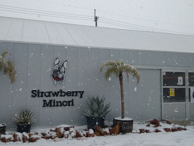 入り口_Strawberry Minori