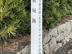 Shotaさんの石脇城跡への投稿写真1