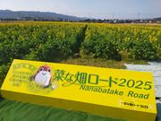 あきぼうさんの菜な畑ロード2018の投稿写真1