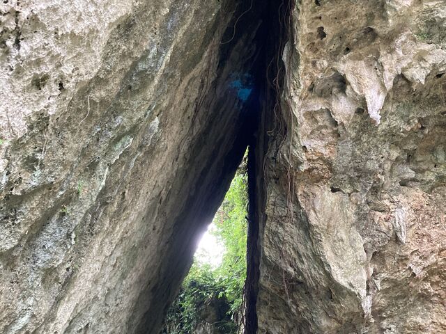 斎場御嶽