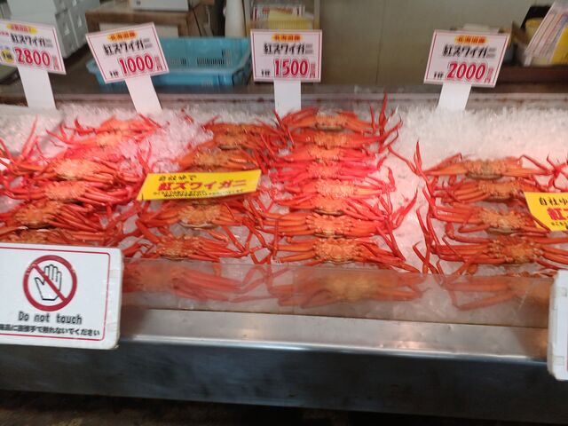 ズワイガニもたくさん_日本海鮮魚センター新井店