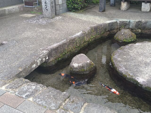 たれれったさんの清流亭(鯉の泳ぐまち観光交流センター)の投稿写真1