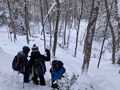 大雪山層雲峡・黒岳ロープウェイの写真2