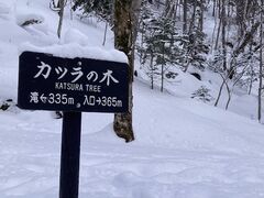 大雪山層雲峡・黒岳ロープウェイの写真4