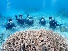 ナオミさんのサマードリーム石垣島への投稿写真1