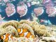 ナオミさんのサマードリーム石垣島への投稿写真2