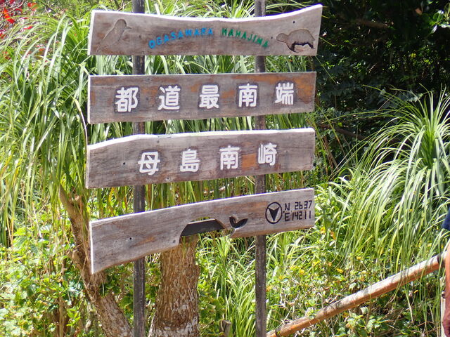 マイBOOさんの南崎の投稿写真1