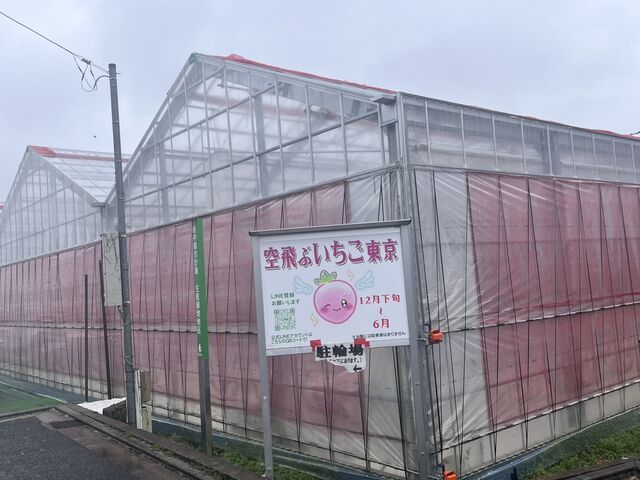 雨の日でしたが、園内で遊ぶスペースもあり、子供連れには最適_空飛ぶいちご東京