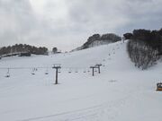 トシさんのスカイバレイの投稿写真1