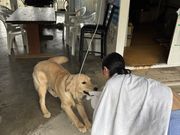 まるさんのダイビングショップTI.OCEANの投稿写真1