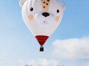 はなさんのAsballoonの投稿写真1