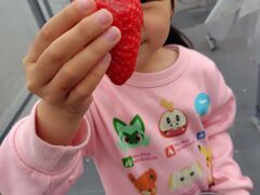 まめさんの園田いちご園への投稿写真1