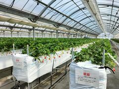 ゆいまーるFARMの写真1